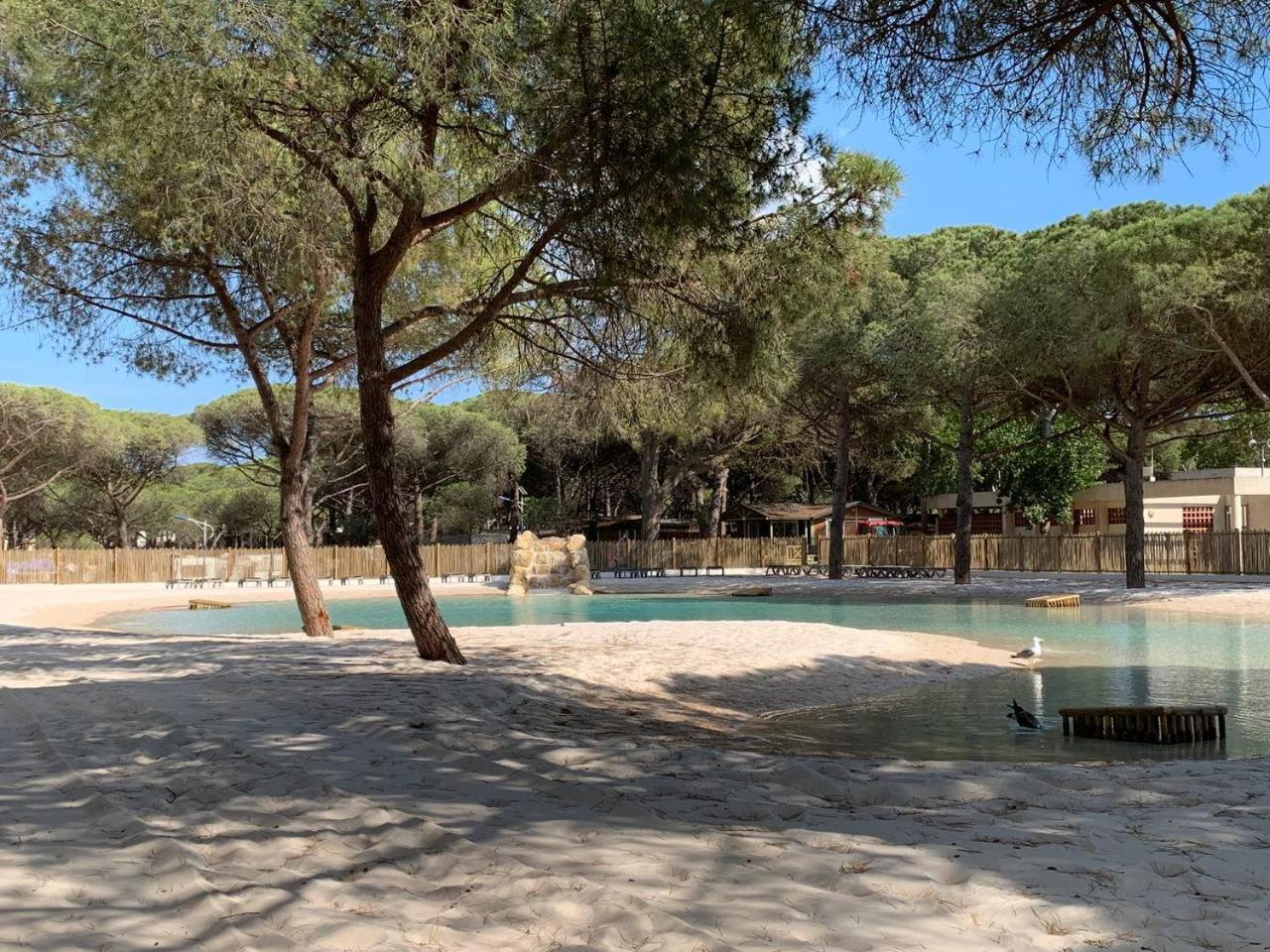 Camping La Tamarissiere Agde Dış mekan fotoğraf